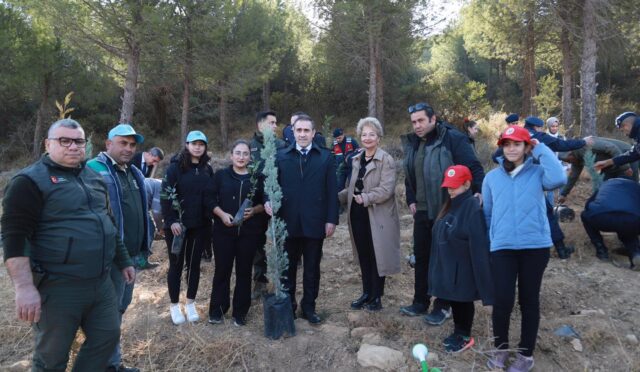 2 - 2024-11-12T163624.095