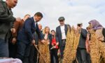 balikesirli_susam_ureticisine_buyuk_destek_8