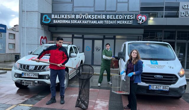 agacta_mahsur_kalan_yarali_martinin_imdadina_itfaiye_yetisti_8