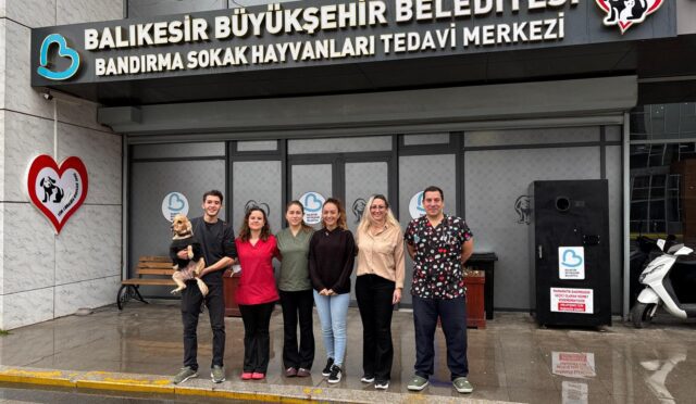 sokak_hayvanlari_icin_35_milyon_tllik_destek_2