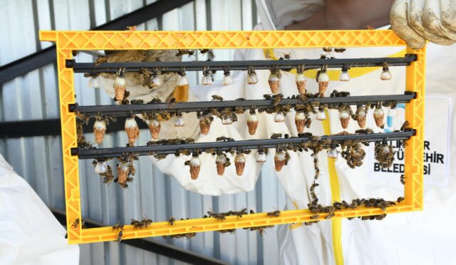 baskan_akinin_destegi_aricilari_sevindirdi_4