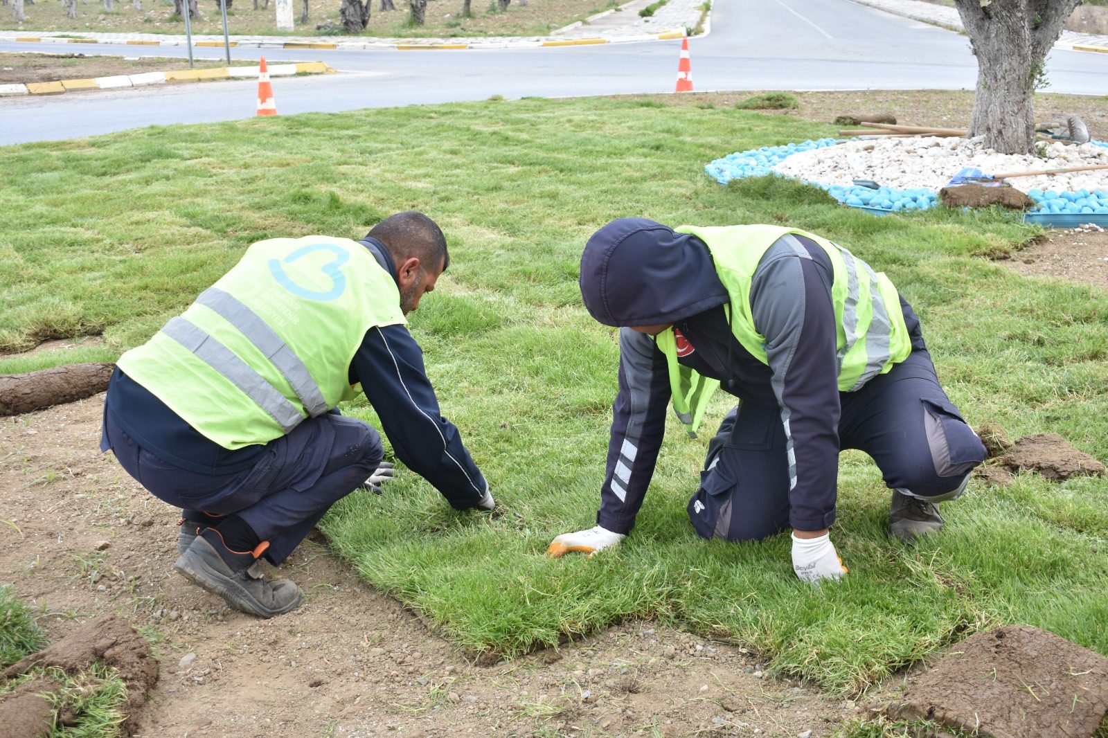 Büyükşehir Belediyesi ürettiği çimleri kullanıyor
