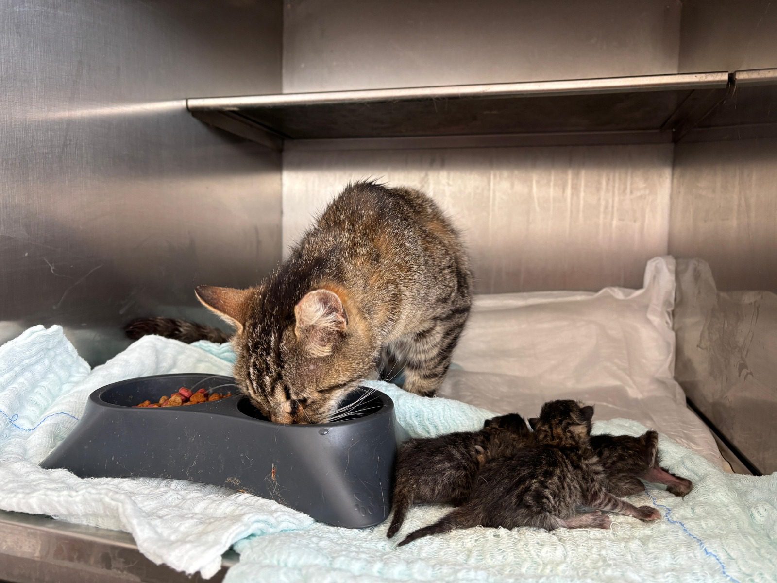 Büyükşehir’in hızlı müdahalesi hayat kurtardı