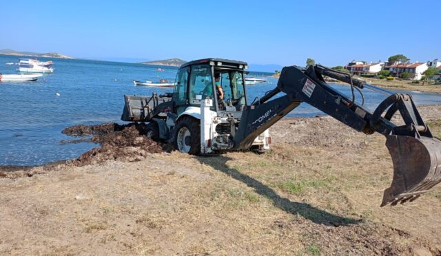 509352573_737717465383274_804746872298406497_n