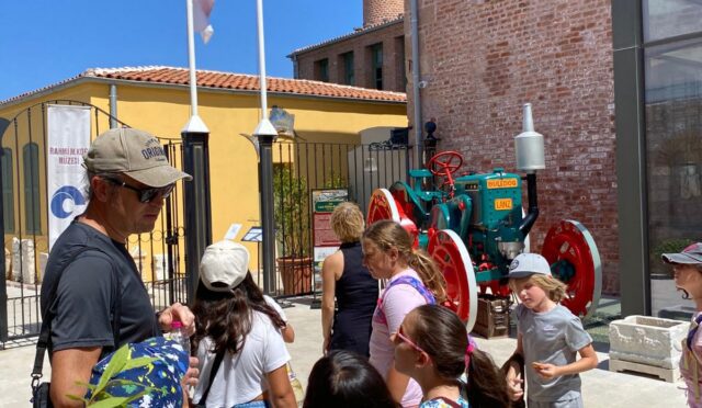 WhatsApp Image 2025-06-24 at 15.00.19