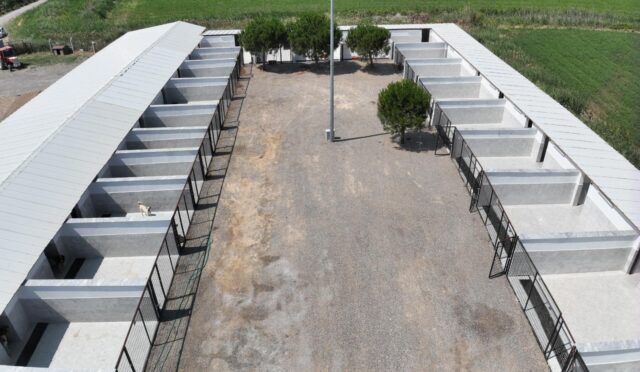 buyuksehir_dokunusuyla_edremitteki_can_dostlara_sicak_yuva_2