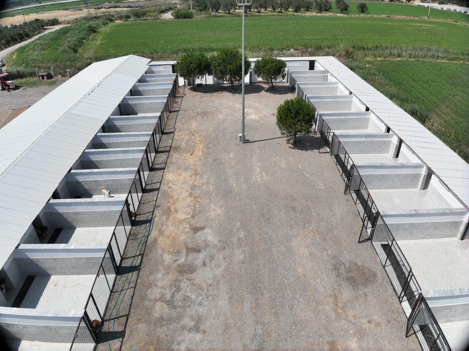 Büyükşehir dokunuşuyla Edremit’teki can dostlara sıcak yuva