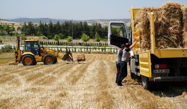 buyuksehir_kendi_ektigi_yulaflarin_bicimini_gerceklestirdi_2_custom