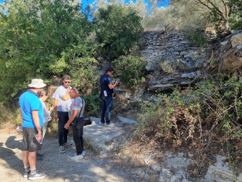 Zeytinin Ulaşım Yolları Araştırılıyor