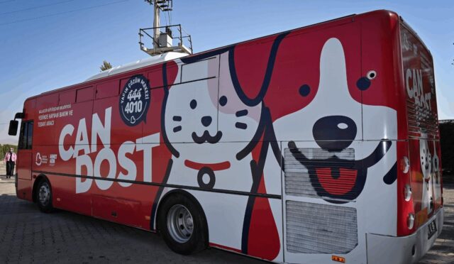 sokaktaki_canlar_can_dostla_emin_ellerde_4