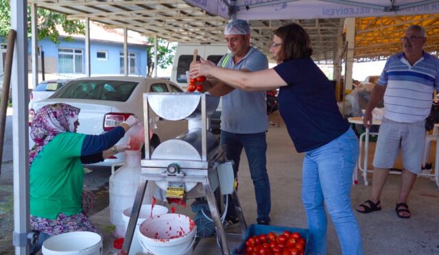 01 AYVALIK'TA SALÇA ZAMANI