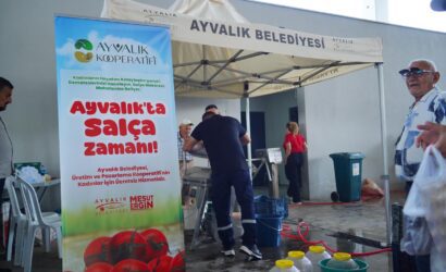 AYVALIK’TA SALÇA ZAMANI BAŞLADI (4)