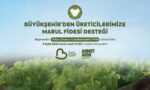 buyuksehirden_ciftcilere_marul_fidesi_destegi