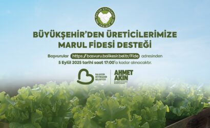 buyuksehirden_ciftcilere_marul_fidesi_destegi