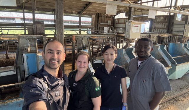 fe2943b4-f386-4886-a979-7258d3f7b0b0