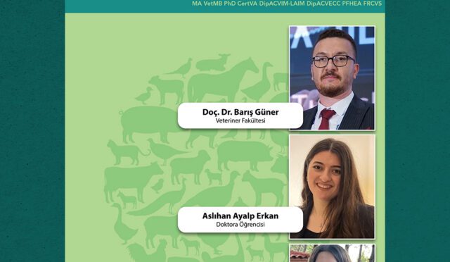 sosyal medya dergi size kopya (1)