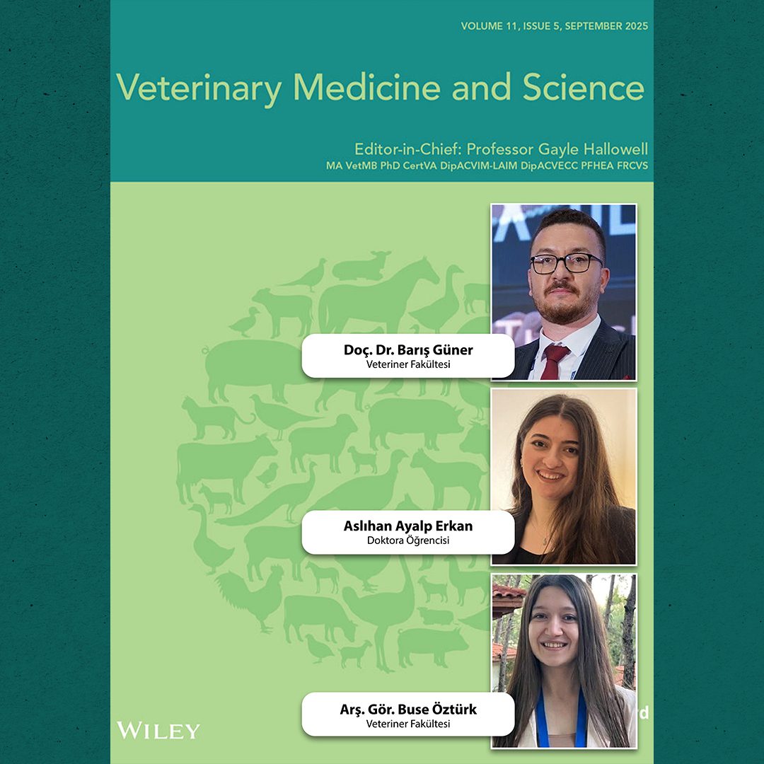 BAÜN Akademisyenlerinden Doğum Sonrası İneklerde Süt ve Üreme Performansını  Artıran Yeni Araştırma