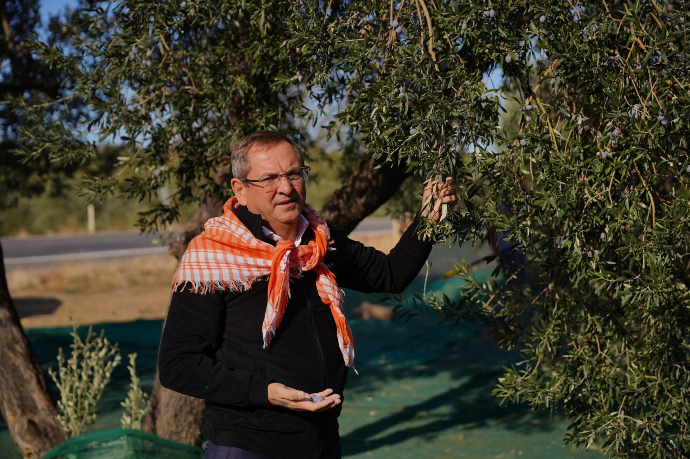 BAŞKAN ERGİN: “ZEYTİNYAĞI AYVALIK’IN VAZGEÇİLMEZ BİR KÜLTÜRÜDÜR”