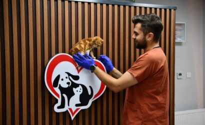 balikesirde_can_dostlar_buyuksehir_eliyle_guvende_1_custom