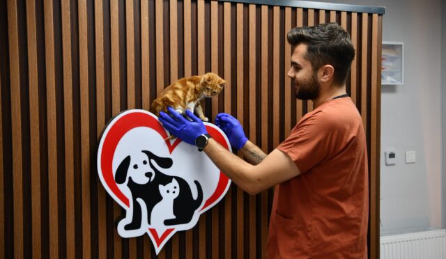 balikesirde_can_dostlar_buyuksehir_eliyle_guvende_1_custom