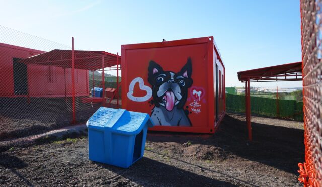 turkiyede_ilk_defa_ozel_gereksinimli_can_dostlara_sicak_yuva_balikesirde_5