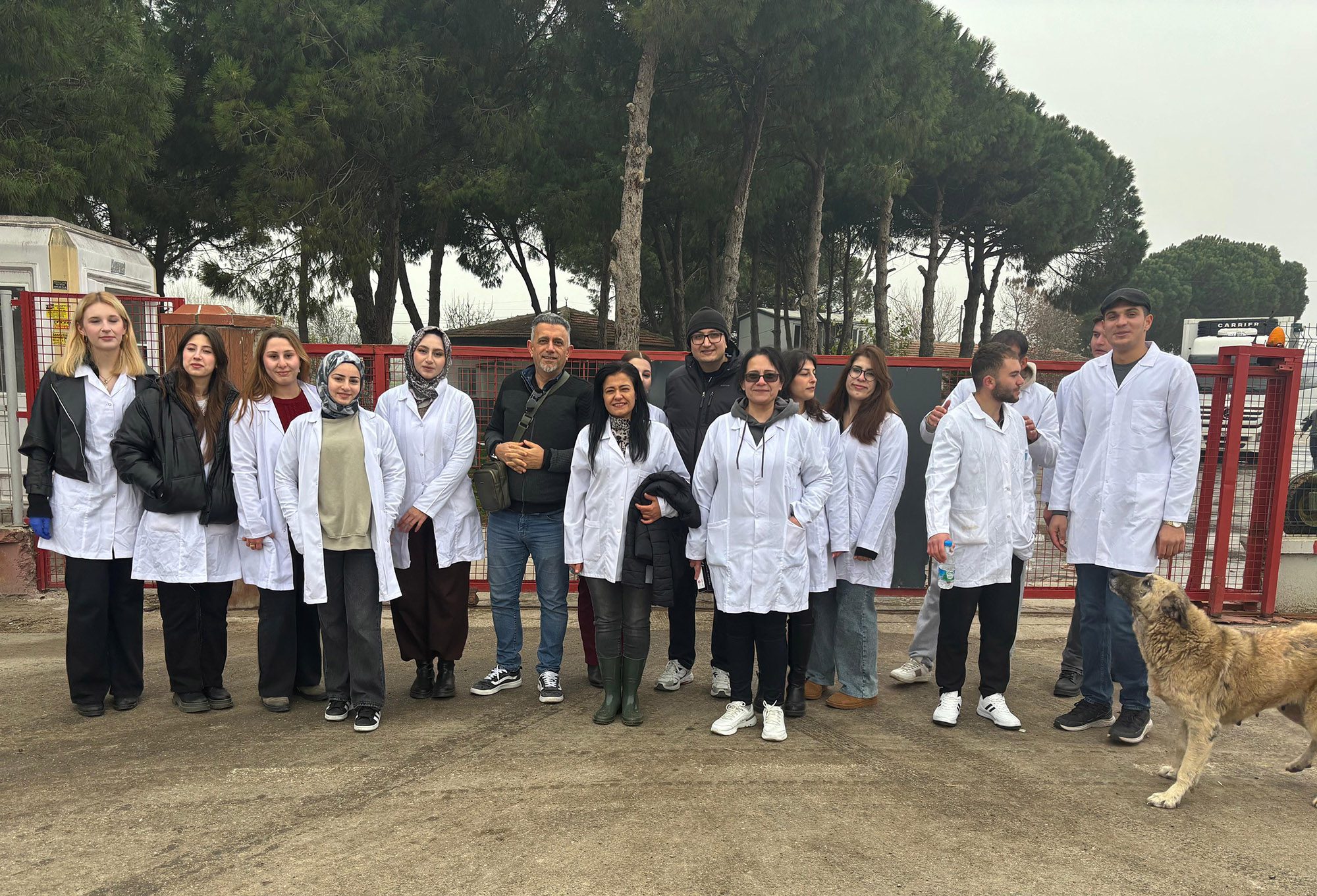 BAÜN Kepsut MYO Veterinerlik Bölümü Öğrencileri Mesleki Bilgilerini Sahada Pekiştirdi