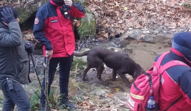 buyuksehir_belediyesi_elif_icin_seferber_oldu_8