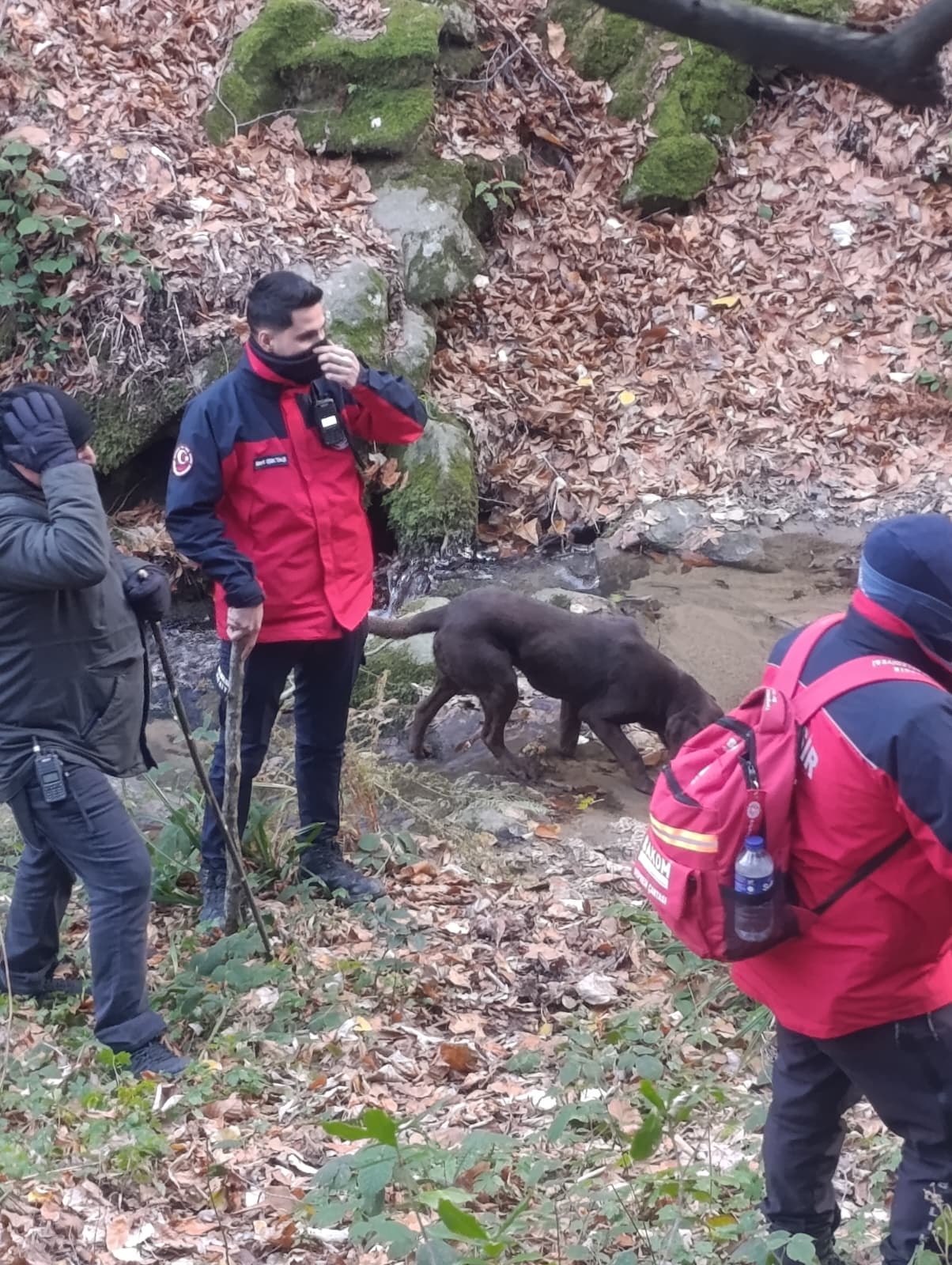 Büyükşehir Belediyesi Elif için seferber oldu