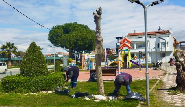 HABER (6)