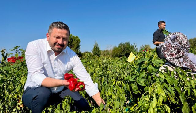 WhatsApp Image 2025-10-21 at 10.11.56 (2)