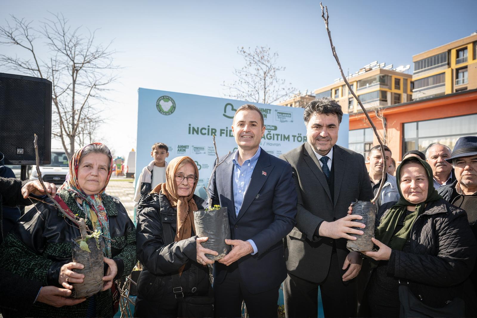 Akın’dan üreticilere yüzde 100 hibeli incir fidanı desteği