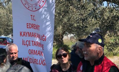 3 - 2026-04-02T160155.433