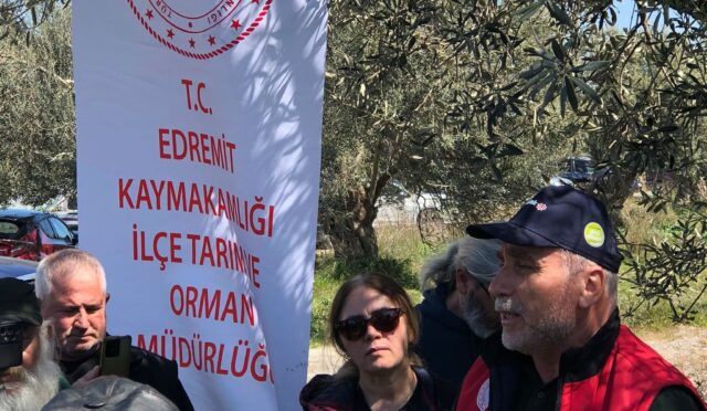 3 - 2026-04-02T160155.433