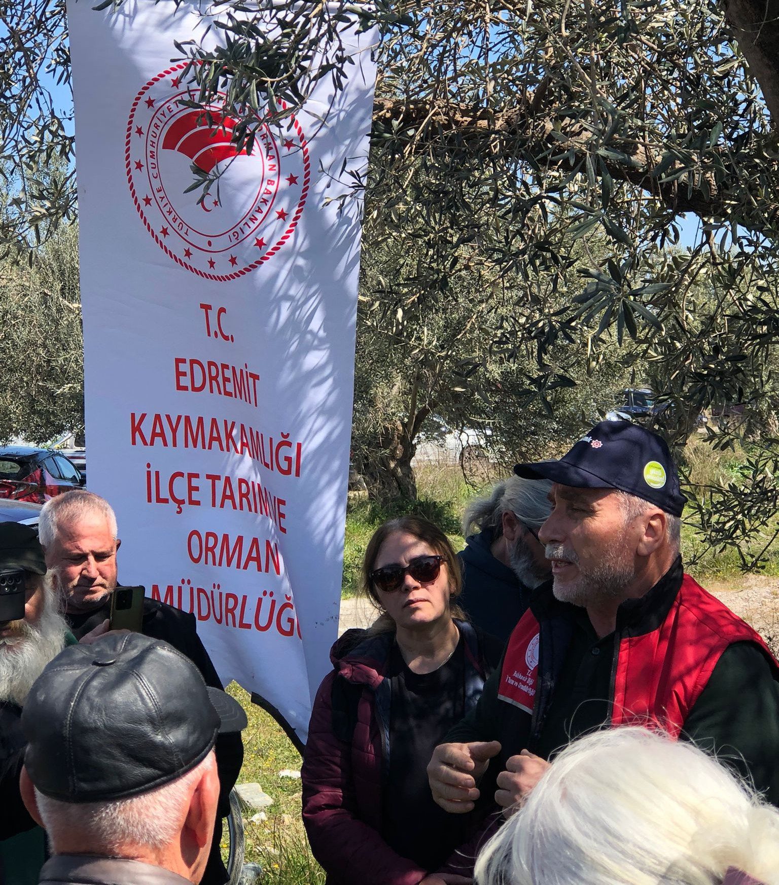 BAÜN Edremit MYO’da Uygulamalı Zeytin Eğitimi: Öğrenciler Bilgiyi Sahada Hasat Etti