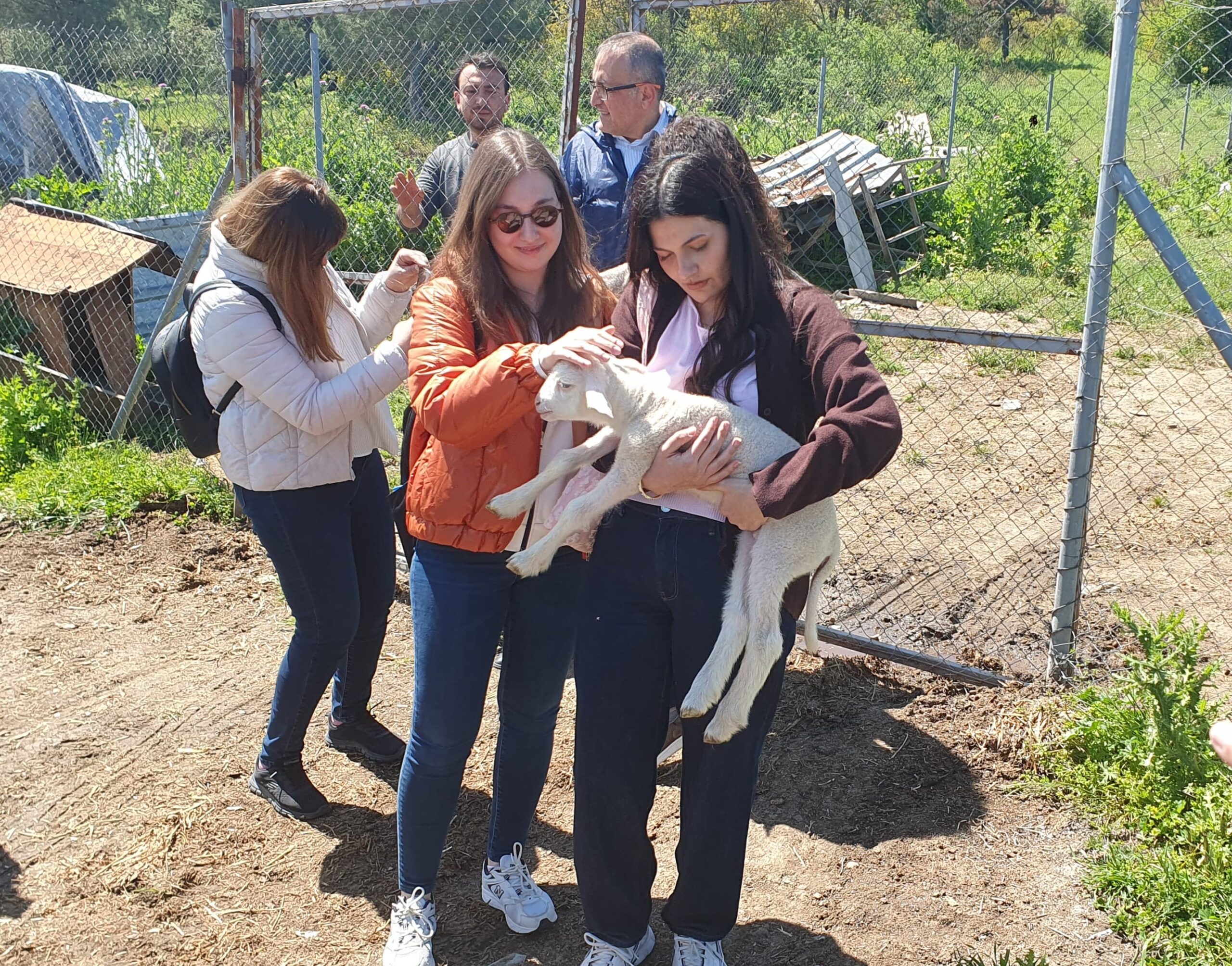 BAÜN Veteriner Fakültesi Uygulama Çiftliğinde Engelsiz Buluşma