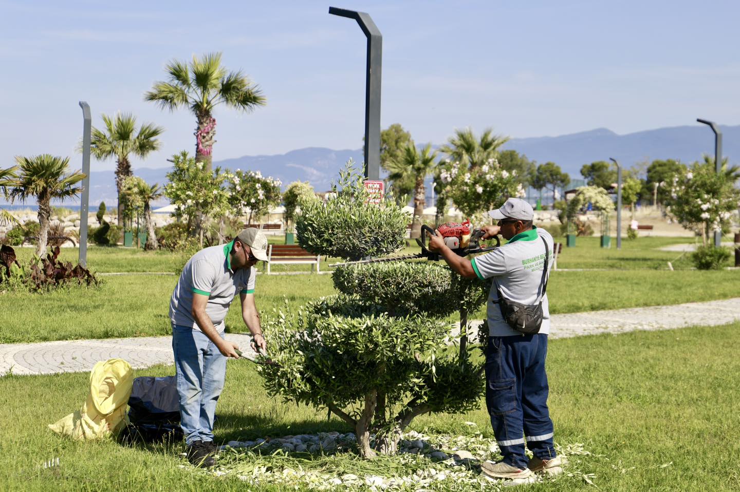 BURHANİYE’DE PARK VE YEŞİL ALANLARDA ÇALIŞMALAR KESİNTİSİZ SÜRÜYOR