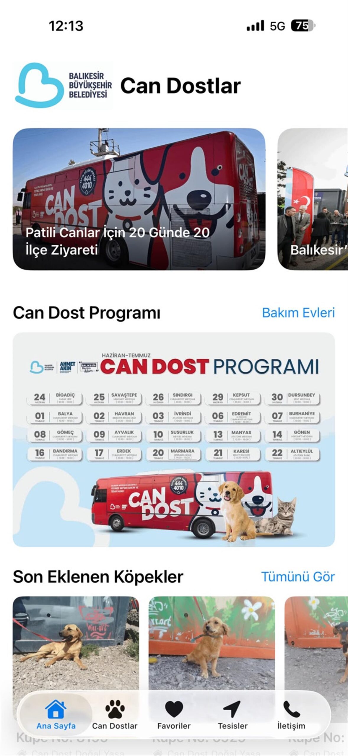Binlerce can dost yuvalarına kavuştu
